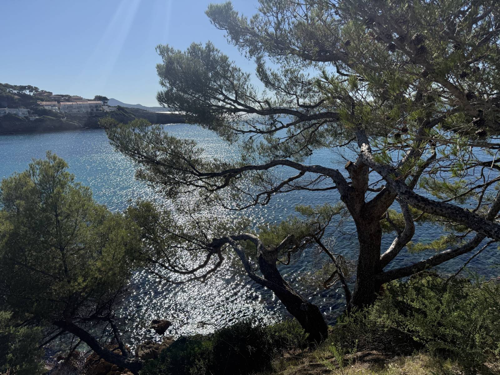 À louer – Rez-de-jardin meublé – 3 pièces – Sanary-sur-Mer