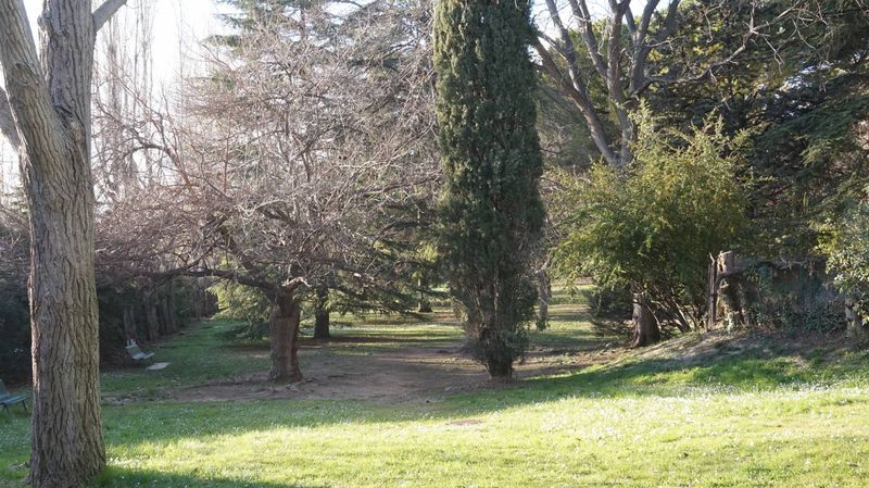 appartement à louer marseille 13012 Fourragère très lumineux avec terrasse