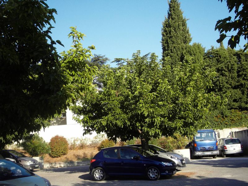 A louer appartement 4 pièces 71 m² avec cave 13190 Allauch