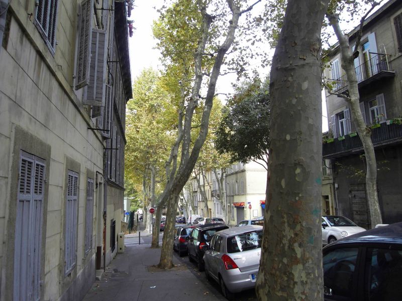 Appartement type 2 à louer à Marseille les Chartreux 4e, proche du métro