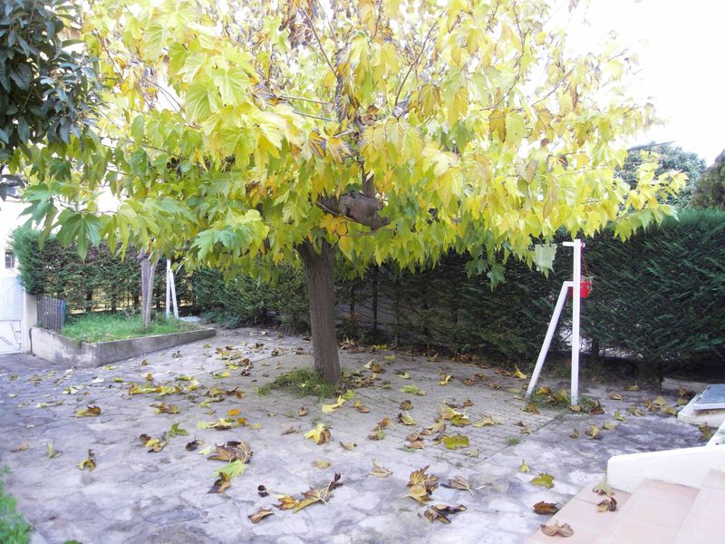 garage + jardin