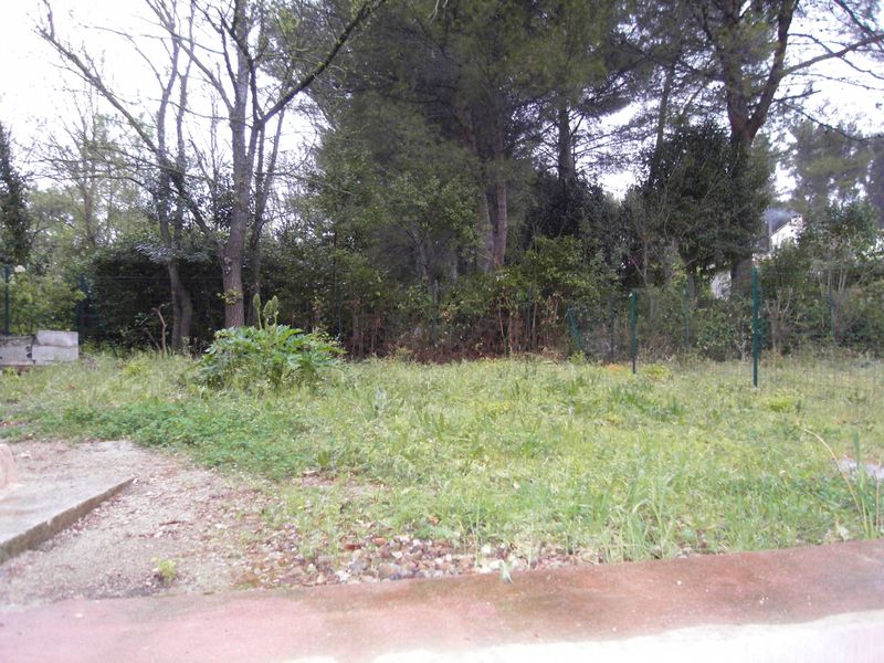 agence immobilière location